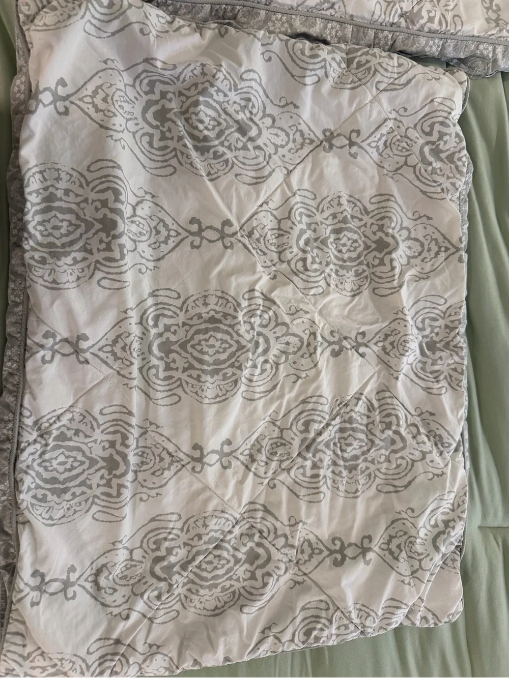 Pottery Barn Dessi Print Reversible Percale Shams (set of 2)